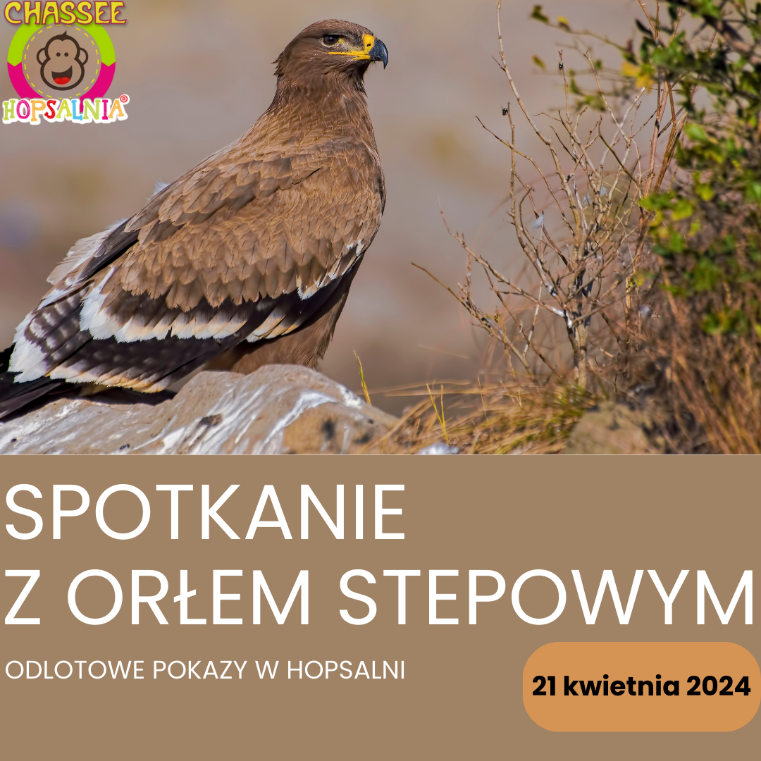 Kopia – WIELKANOCNE WARSZTATY Z KRÓLICZKIEM I SZYNSZYLĄ